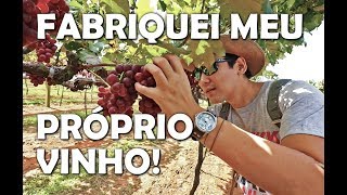 FABRIQUEI meu próprio VINHO [upl. by Harriott]