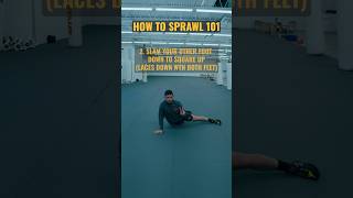 Do you know how to sprawl properly wrestling mma martialarts ufc tampa [upl. by Aeuhsoj515]