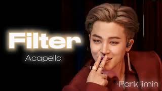 Bts Jimin Filter  Acapella version bts jimin music [upl. by Lindell]