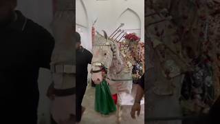 Zuljanah Hain Kahan Baba Jan  Farhan Ali waris  Zuljanah Badshah  farhanaliwaris karbala short [upl. by Huber]