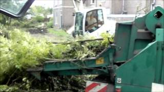 MASSEY FERGUSON 8690  JENZ HEM 561 Wood Chipper [upl. by Bartolemo242]