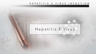 Hepatitis E CDC Viral Hepatitis Serology Training [upl. by Assenyl749]