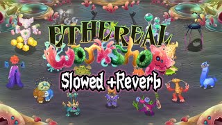 Ethereal Workshop  Slowed  Reverb [upl. by Zilvia]