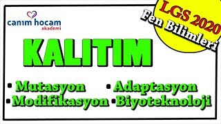 KALITIM Modifikasyon Mutasyon Adaptasyon Biyoteknoloji  LGS 2020 8Sınıf Fen Bilimleri [upl. by Lleder333]