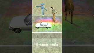 animal crossing the road challenged 길건너친구들 zoonomaly accident crossing animal 동물 friend [upl. by Jerman]