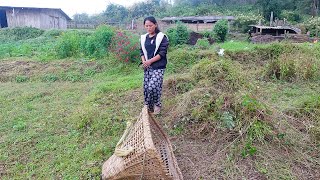 Himalayan life of rural Nepal  Ritas daily lifestyle of the village  lifeinruralnepal [upl. by Daeriam873]