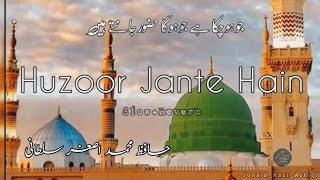 hudood e tairesidra huzoor janty hn beautiful urdu naat by Hafiz Muhammad Asghar Sultani [upl. by Rolandson]