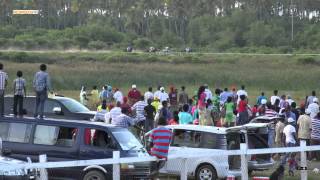 PORT MOURANT TURF CLUB HORSE RACING2015 GUYANA [upl. by Ellenod874]