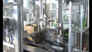 Flokontrol  Cup Mineral Water Carton Packaging Machine  Bardak Su Kolileme Makinesi [upl. by Eirol]