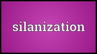 Silanization Meaning [upl. by Shewmaker]