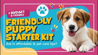 Essential Puppy Starter Kit Under 200 🐶  Affordable Tips for New Puppy Parents [upl. by Samuella976]