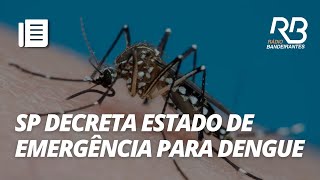 Dengue São Paulo decreta estado de EMERGÊNCIA  Manhã Bandeirantes [upl. by Hanonew648]