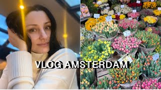 Vlog Amsterdam Музей Ван Гога Pizza Cruise Amsterdam [upl. by Bish773]