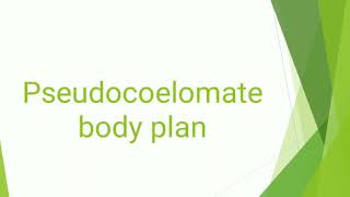 Pseudocoelomate body plan [upl. by Nwahsaj501]