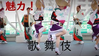 阿波踊りの魅力！ 歌舞伎連 アミコドーム [upl. by Brenden127]