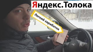 Сколько я заработал на Яндекс ТОЛОКА [upl. by Gorga552]