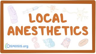 Local anesthetics pharmacology [upl. by Xonel519]