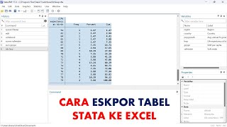 Ekspor TABEL STATA ke EXCEL [upl. by Bekki]