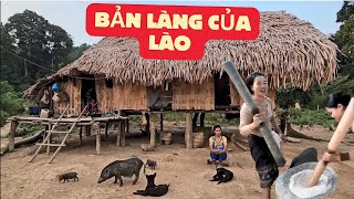 BẢN LÀNG Ở LÀO CUỘC SỐNG NGƯỜI DÂN Ở VÙNG NÚI MIỀN TRUNG LÀO NHIỀU KHÁC LẠ [upl. by Marr]