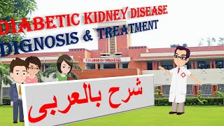 DIABETIC NEPHROPATHY TREATMENT شرح بالعربى [upl. by Drageruaeb430]