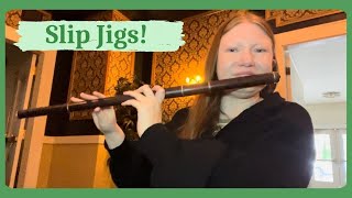 Slip Jigs with Fiona Howell — The Spirit of WhiskeyThe Long Night irishtraditionalmusic [upl. by Vaios168]