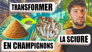 🍄 Comment CULTIVER des CHAMPIGNONS sur de la SCIURE [upl. by Haet230]