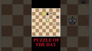 Chess Puzzle of the day 02  Chess Puzzle  Hindi Chess [upl. by Sell]