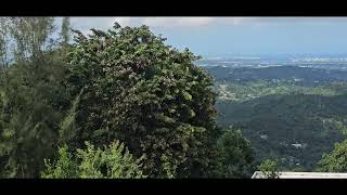 Impresionante vista Canovanas Puerto Rico [upl. by Atinehc]