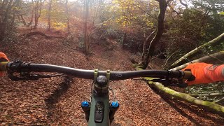 The Best Autumn Trails In The Surrey Hills [upl. by Bertine]