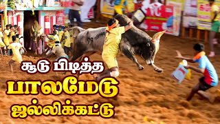 சூடு பிடித்த பாலமேடு ஜல்லிக்கட்டு  Palamedu Jallikattu 2023  Jallikattu 2023  IBC Tamil [upl. by Betsey631]