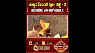 Part 03  ఉత్థాన ఏకాదశి పూజ  Utpanna Ekadashi 2024 Importance  Teerthayatralu Shorts [upl. by Nadnerb214]