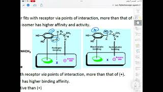 Adrenergic agent agonist orgpharmachemistry البارت الاول [upl. by Danica]