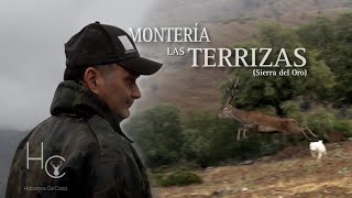 MONTERIA EN quotLAS TERRIZASquot  Sierra del oro [upl. by Yttiy]