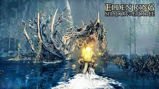 Elden Ring Shadow of the Erdtree  Ghostflame Dragon Boss Fight [upl. by Eirehs]