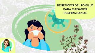 Respira tranquil en 5 minutos con los beneficios del tomillo [upl. by Rennerb246]