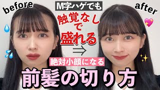 【研究10年】触覚依存症のM字ハゲ女が触覚なし🙅‍♀️で初めて小顔になれた前髪カットの方法！【セルフカット】【小顔】 [upl. by Panter]