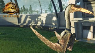 LARGEST Pterosaur The QUETZALCOATLUS  Jurassic World Evolution 2 [upl. by Ainud403]