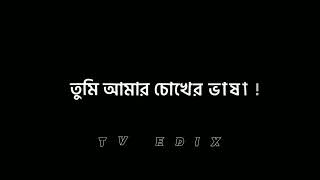 Sorry Dipannita Song Lyrics video  Black screen status video  Whatsapp Status 🖤🌹 [upl. by Tengdin]