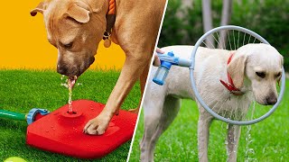 10 MustHave Dog Gadgets Revolutionizing Your Pets Life [upl. by Attenra673]