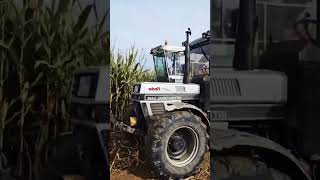 Corn Harvest with Mengele SF 6500 and Turbo 856 XL smartinnovations tractor harvester farming [upl. by Nnayr827]