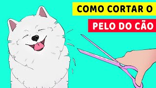 Como Cortar O Pelo Do Seu Cachorro Em Casa [upl. by Maddalena857]