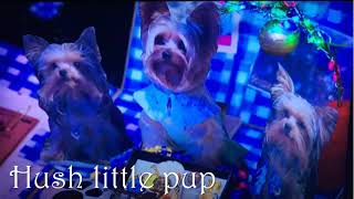 Hush little pup  lyrics [upl. by Ahtnams]