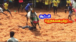 தெறிக்கவிடும் ஆட்டம் Adhavathur jallikattu 2024 [upl. by Winebaum]