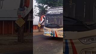 PEX viralvideo foryou trending viralshort shortvideo turistbus bustours travel bus [upl. by Ati]