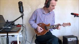 Electric Mandolin Demo [upl. by Tini]