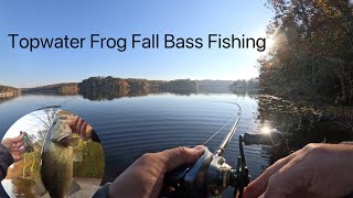 Topwater Frog Fall Bass Fishing [upl. by Ettelra]