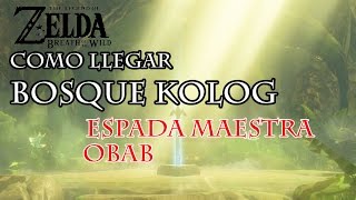 Zelda BOTW  Bosque Kolog  Localización [upl. by Janean825]