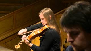 PIANO TRIO IMPRESSION  Josef Suk trio opus 2 in c minor Allegro assai [upl. by Tannen]