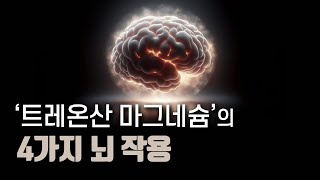 불면증 우울증 기억력 인지력 트레온산 마그네슘 [upl. by Adnamma]