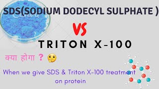 SODIUM DODECYL SULPHATE VS TRITON X100  SDS amp TRITON X100 TREATMENT ON PROTEIN [upl. by Auhesoj]